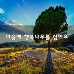[꼭봐주세요] 마음에 행복나무를 심어요~