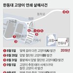 나무에 고양이 매단 그놈···"연쇄살인범 조짐 보인다"