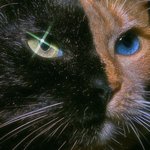 [드루와] 좋아하는 브랜드 하나씩 적고<b>가버</b>ㅏ