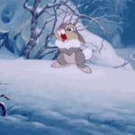 시둥이랑 차유튜버 <b>달빛</b>님은 비교 조카