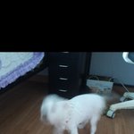 [댓글부탁해] 반장 선거 공약 제발 추천해줘....