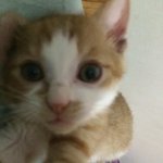 [NCT] 숨어있는 이마크를 찾으시오