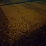 <b>니</b>네 운동장에서 이상한거 봤다는 <b>글</b> 기억나?
