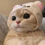 고닥생들 들어와바ㅠㅠㅠ