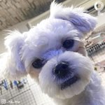 [댓글부탁해] 나 우<b>쭈쭈</b> 해주라