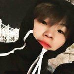 [세븐틴] 멤버들 <b>사복</b>입은짤 주라
