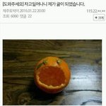 [댓글부탁해] 동아리 선배랑 친해지고싶으면
