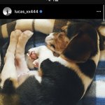 [NCT] 나 너무 당황해써