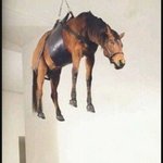 남자 꼬시는 법 알려줄게 진짜