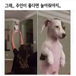 애들아 나 <b>몇키</b>로 같아보임 다리보면 ㅠㅠ?