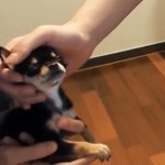 얘들아 이거 에<b>바냐</b>