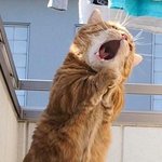 엔시티 체제 아무나 설명 좀 해주라