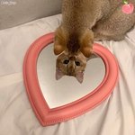 아 진짜 <b>자퇴</b>하고싶다