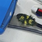 [꼭조언부탁] 냄새나는 직장상사 어떻게 해야될까요? (하....곧...