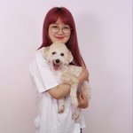 나 양띵크루 팬인데 확실히