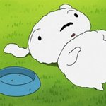 [댓글부탁해] 너네 <b>재미</b>있는 ❤동물❤썰 있냐?