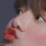 누가 꿀<b>빵이</b> 우유에 담궛다꺼냄