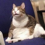 [19] 짝사랑 때문에 해본 짓 적어보자