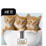 얘들아 고양이 <b>뒤통수</b> 향이라는데 사볼까