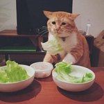 엄마가 나 먹으라고 사<b>논거</b> 동생이 다쳐먹음