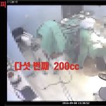 [꼭도와줘요] ++추가)유령수술, 아들의 죽음