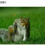 [댓글부탁해] 수학 잘하는 고딩 <b>젭알</b> 나좀 도와조..