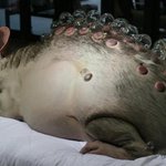 [19] <b>빛삭</b>
