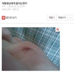 [드루와] (약혐)얘들아 너네 이글 기억남...?