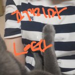 [19] ㅎㅂㅈㅇ) 내 가슴에 손 <b>올림</b>