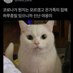 [댓글부탁해] 지금 피시방 가서 김치<b>볶음</b>밥 먹는 거 에바냐