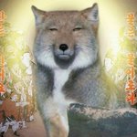 [댓글부탁해] 나 이제 모든걸 <b>해탈</b>함 ....