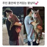 [모두드루와] 음악가 <b>찬반</b>투표하자