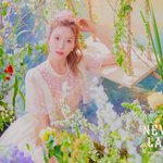 [모두드루와] 우주소녀 컴백 포토 <b>다원</b>