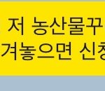 아니 애들아 왜 쌤 내 톡안보실까ㅠㅠ