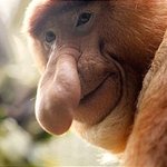 [알페스] 젱됴 연성으로 뻗대기 썸넬만 보고 튀지마