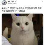 [댓글부탁해] 너넨 신체<b>부위</b>에서 뭐가 젤 부러움
