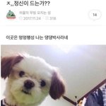 ❤️우울함 자가진단 &amp; 회복하기❤️