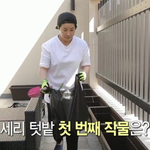 박세리 때문에 살아있는 거 첨 본 식물