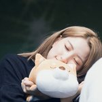 온갖 과일 담당하는 아이돌