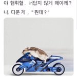 아니 ㅅㅂ 개학을