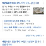 투바투 <b>동물원</b>을 빠져나온 퓨마 가사 개슬퍼