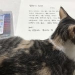 [댓글부탁해] <b>숙제</b>하는데 자꾸 집적거려;;;