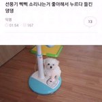 [드루와] 당당해보이는 <b>요소</b> 하나씩만 적고가줘ㅠㅠㅠㅠ!!!!