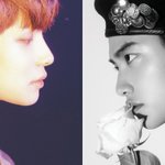 [알페스] 아 근데 <b>옆태</b> 너무 이쁨