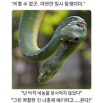 아니신발 센세새끼 왜 확답을 안 해줌
