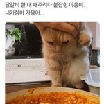 [댓글부탁해] +추가)) 혹시 비투비나 <b>엑소</b> 실제로 본 사람있오?...