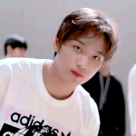 [NCT] 정보를 찾습니다