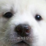 [드루와] 얘들아 7달 만에 지금 <b>자러</b>간다