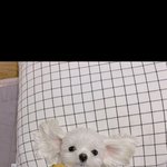 [19] <b>빛삭</b>
