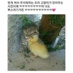 ⬆⬆⬆⬆⬆추천<b>폭탄</b>쓰~^^*⬆⬆⬆⬆⬆